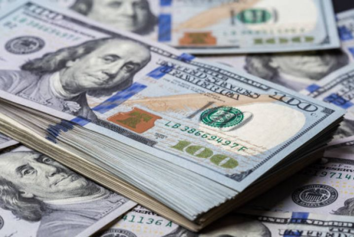 Azərbaycanın daxili dövlət borcunun strukturu açıqlanıb | FED.az