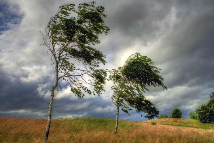 Yağış yağacaq, külək güclənəcək - SABAHIN HAVA PROQNOZU | FED.az
