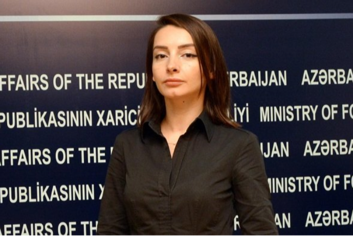МИД Азербайджана: Вопрос статуса Карабаха отправлен на свалку истории | FED.az