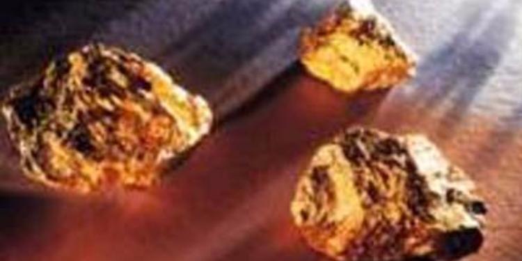 В Азербайджане обнаружено новое месторождение золота | FED.az