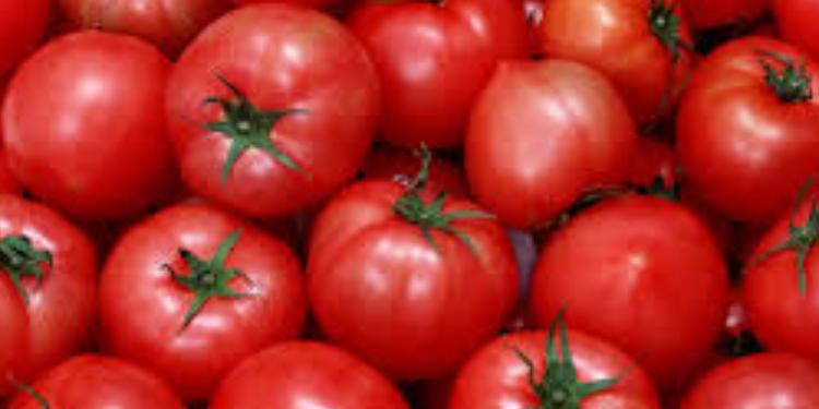 Pomidor yenə birinci oldu - İXRAC MƏHSULLARININ SİYAHISI | FED.az
