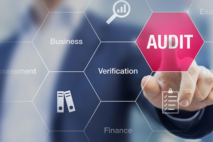 Dövlət Ehtiyatları Agentliyi auditor seçib | FED.az