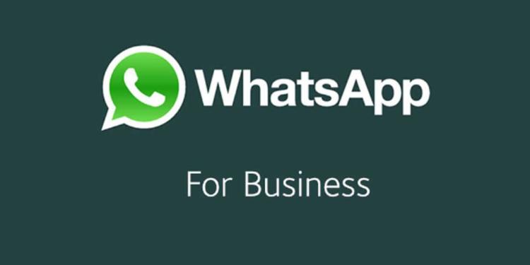 “WhatsApp Business” gəldi: Aktivləşdirmək üçün LİNK | FED.az