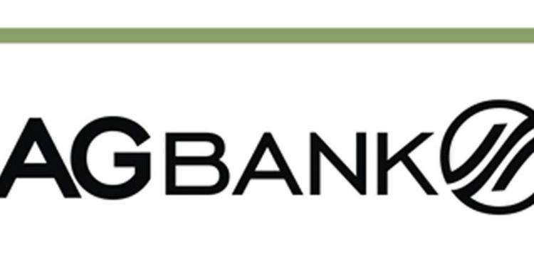 AgBank göstəricilərini açıqladı: İLLİK  HESABAT | FED.az