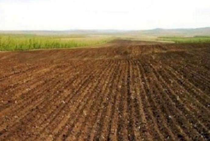 Azərbaycanın rayonlarında torpaqlar satışa çıxır – SİYAHI, QİYMƏTLƏR | FED.az