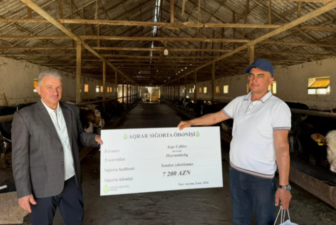 Aqrar Sığorta Fondu Xaçmaz və Xızıda fermerlərə sığorta ödənişləri edib | FED.az