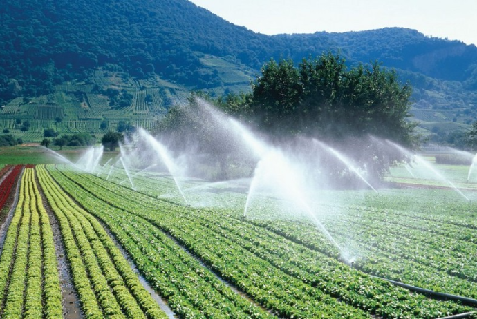 “Suvarma sistemlərində su itkiləri 50%-dən çoxdur” | FED.az