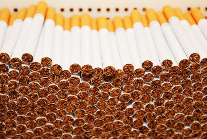 Azərbaycan tütün idxalına çəkdiyi xərci - 28% ARTIRIB | FED.az