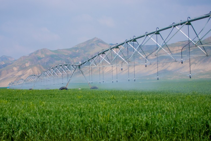 Hacıqabulda "Aqro Dairy" MMC-nin aqroparkının - Təqdimatı Olub | FED.az