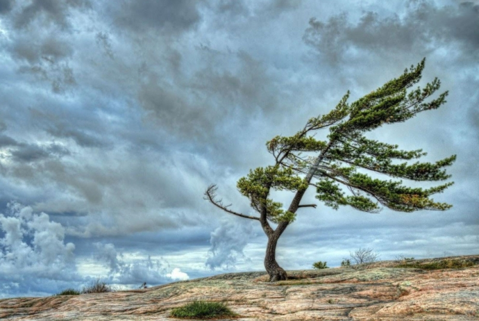 Bəzi yerlərdə duman olacaq, külək əsəcək - HAVA PROQNOZU | FED.az