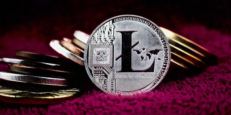 Fevralda ən çox yüksələn kriptovalyuta - Litecoin | FED.az