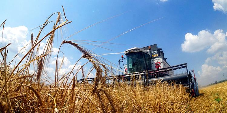 Azərbaycanda yeni assosiasiya yaradılır | FED.az