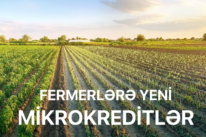 “AccessBank” fermerlərə yeni mikrokreditlər - Təqdim Edir | FED.az