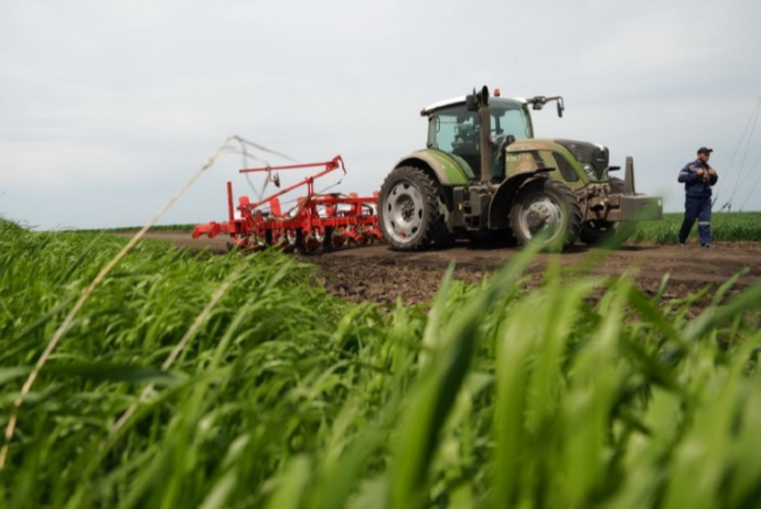 Nazir: “Bu yolla fermerin öz ailəsini təmin etməsi mümkün deyil” | FED.az