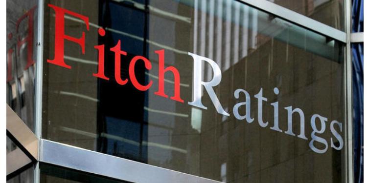 Fitch: "Azərbaycan banklarındakı problemlər azalır" | FED.az