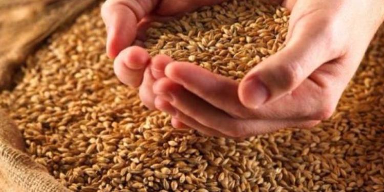 Азербайджан купит у Казахстана более миллиона тонн зерна | FED.az