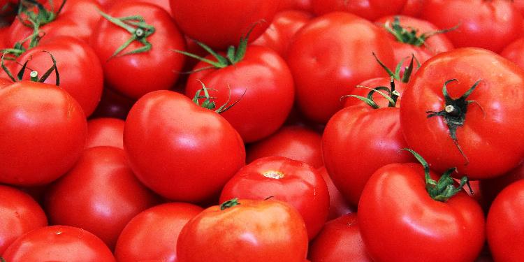 Pomidor ixrac etmək istəyən şirkətlərin siyahısını verin - RUSİYADAN TƏKLİF | FED.az