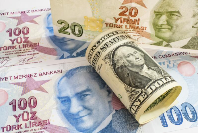 Türkiyə lirəni qorumaq üçün bir ayda $43.4 mlrd. xərcləyib | FED.az