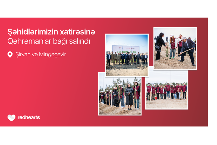 Проект «Сад Героев»: в память о шехидах высажено 543 дерева | FED.az