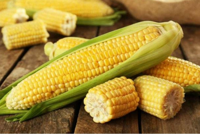 Xaricdən qarğıdalı alışı kəskin azalıb - QİYMƏTİ İSƏ 18% BAHALAŞIB | FED.az