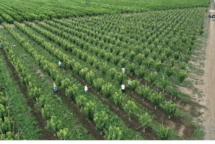 "Shamkir Agropark" işçi axtarır - VAKANSİYA | FED.az