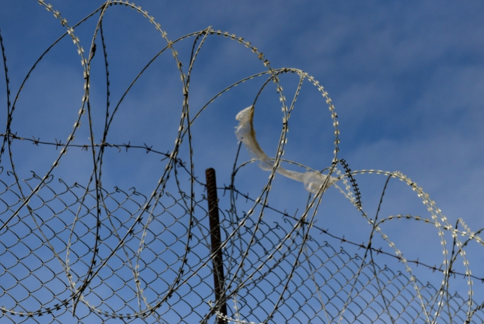 Vətən müharibəsi və antiterror əməliyyatında iştirak edənlər cəzalarından tam azad ediləcək | FED.az