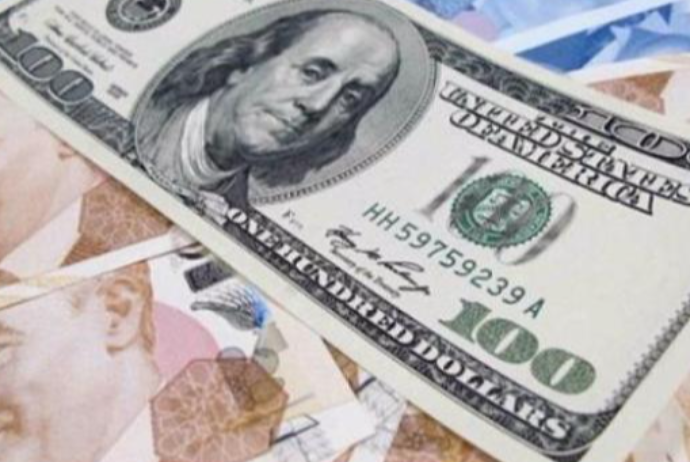 İri bankdan "Dolların qiyməti 36 lirəyə çata bilər" proqnozu | FED.az