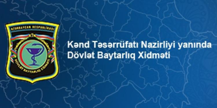 Kənd Təsərrüfatı Nazirliyi ofis maşınları alır – Tender | FED.az