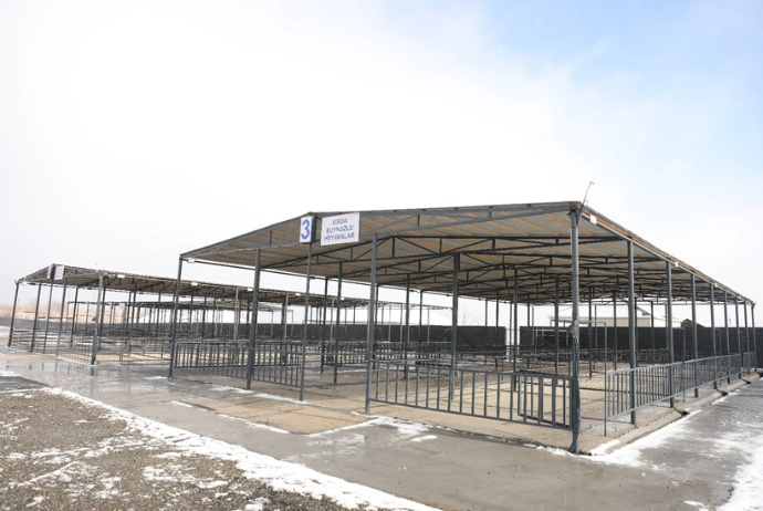 Ağcabədi heyvan bazarı açıldı | FED.az