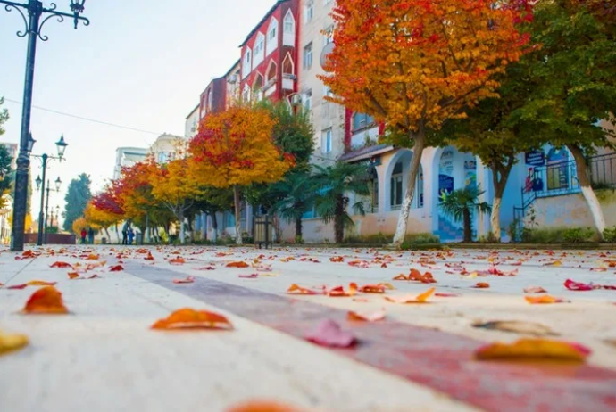 Sabaha gözlənilən hava proqnozu açıqlanıb | FED.az