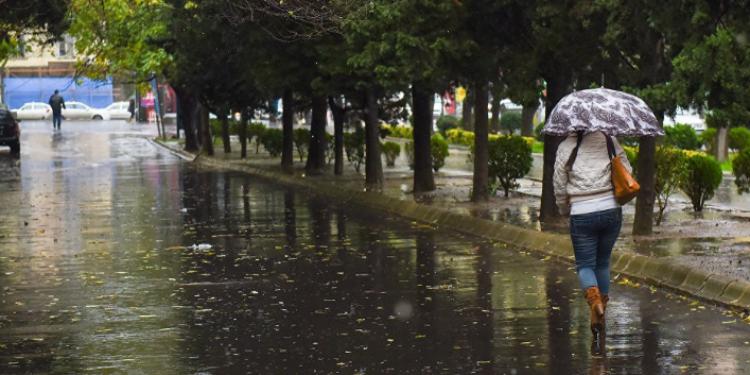 Yağış yağacaq, şimşək çaxacaq... - SABAHIN HAVASI | FED.az