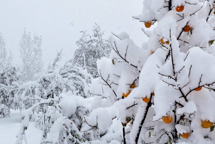 Bakıya yağış, rayonlara qar yağacaq - SABAHIN HAVA PROQNOZU | FED.az