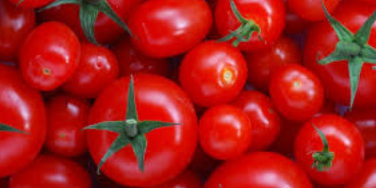 Azərbaycanın pomidor ixracından gəliri – AÇIQLANDI | FED.az
