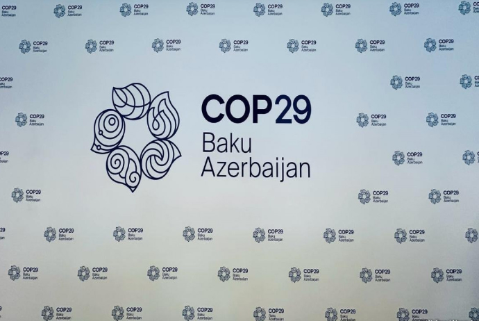 COP29-un keçirilməsinə ayrılan vəsaitin auditi aparılacaq | FED.az