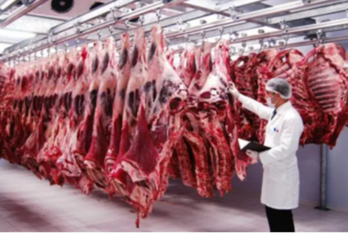 Azərbaycana ən ucuz ət hansı ölkədən gətirilir? – KİLQOQRAMI 5,2-5,5 MANAT – SİYAHI, QİYMƏTLƏR | FED.az