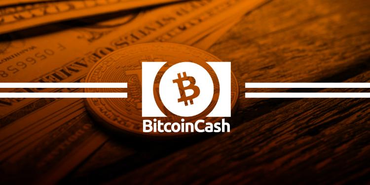 “Bitcoin Cash” kəskin bahalaşıb – QİYMƏT | FED.az