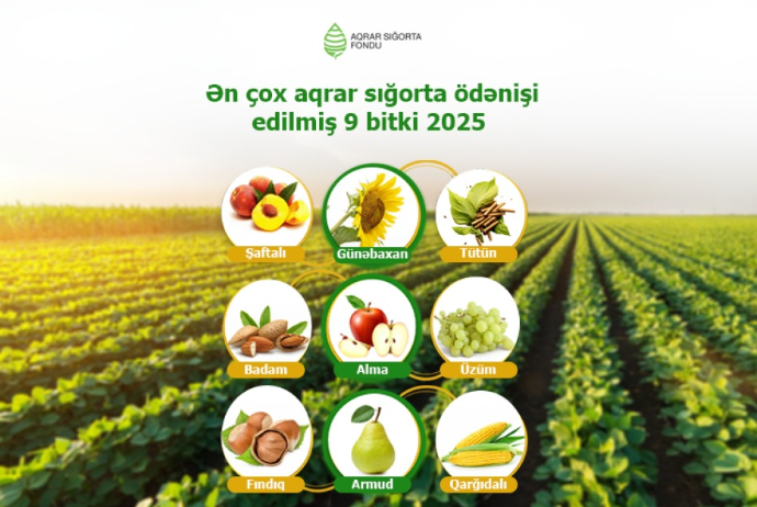 Azərbaycanda əkin sahələri üzrə aqrar sığorta ödənişləri 70 faiz artıb | FED.az