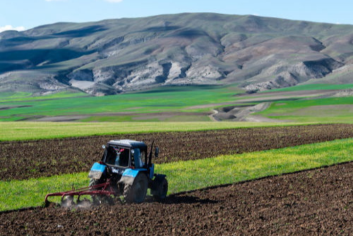 Правительство Азербайджана увеличит субсидии фермерам в связи с повышением цен на дизтопливо | FED.az