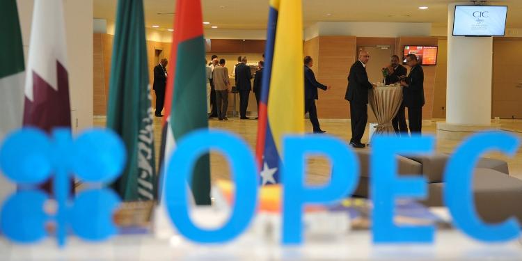 OPEC-ə yeni üzv ölkələrin qəbulu üçün danışıqlar aparılır | FED.az