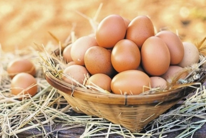 Azərbaycanda yumurta istehsalı 16%-dən çox artıb | FED.az