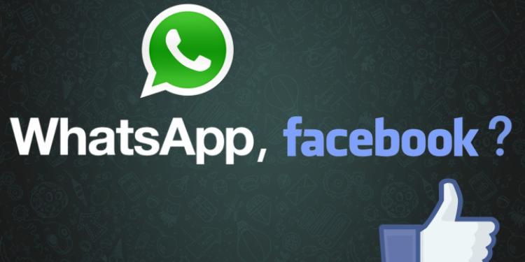 Facebook WhatsApp üçün kriptovalyuta buraxacaq - AÇIQLADI | FED.az