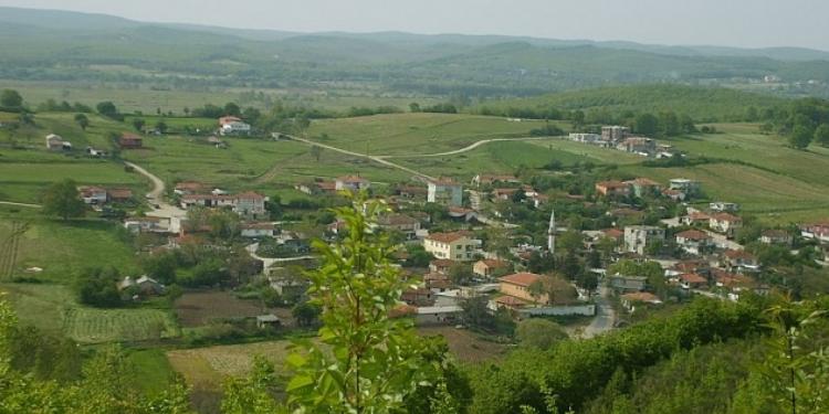 İstanbulda 3-cü hava limanına yaxın bağ evi - 200 000 AVRO | FED.az