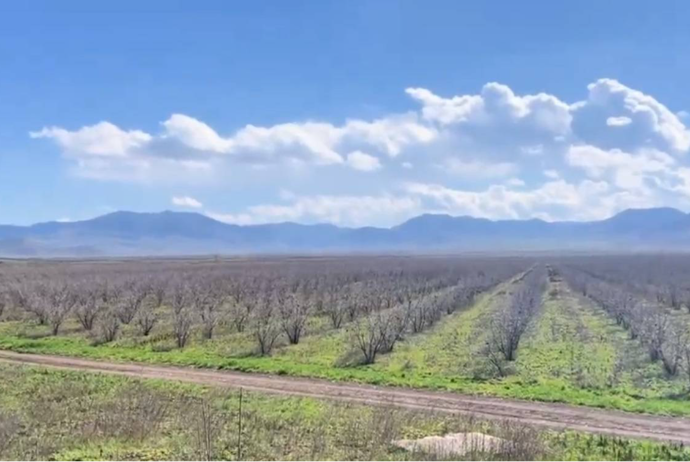 "Zəfər Bağları" işçi axtarır - VAKANSİYA | FED.az