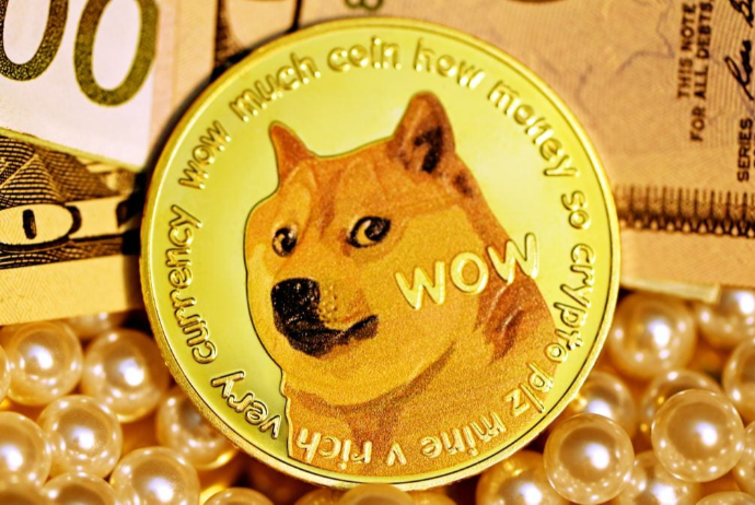 Cəmi 8 min dollar yatırıb 1 ərzində milyonçu oldu - Shiba Inu vasitəsilə | FED.az