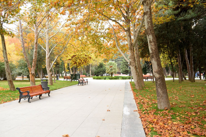 24 dərəcə isti - SABAHIN  HAVA PROQNOZU | FED.az