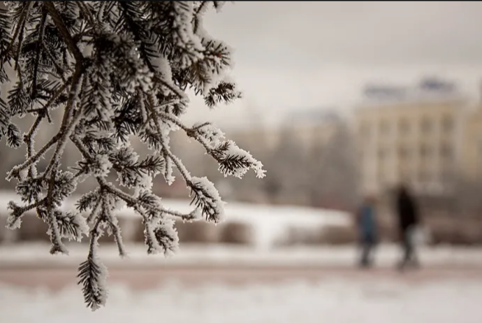 Sabah 15 dərəcə şaxta olacaq - HAVA PROQNOZU | FED.az