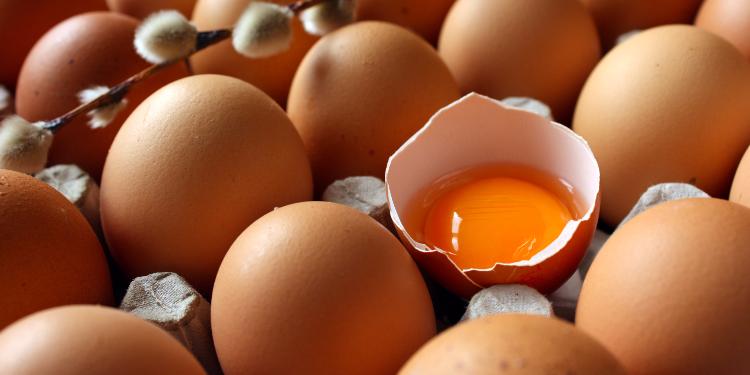 Saxta yumurta ilə bağlı əhaliyə müraciət edilib | FED.az