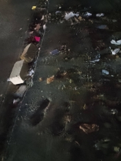 Xırdalanda tikinti şirkəti ağacları kəsdi - 13 MİN MANAT CƏRİMƏLƏNDİ - FOTOLAR | FED.az