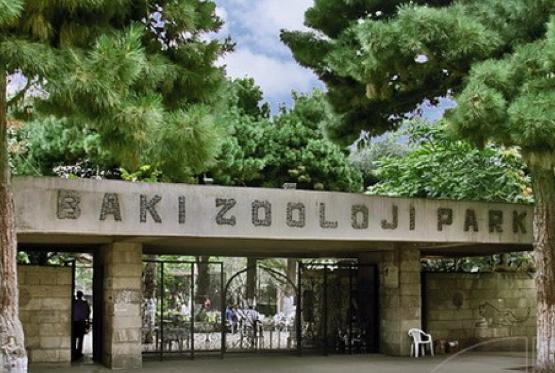 Bakı Heyvanat Parkı tender – ELAN EDİB