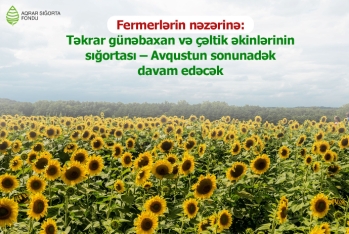 Fermerlərin nəzərinə: Təkrar günəbaxan və çəltik əkinlərinin sığortası – Avqustun sonunadək  davam edəcək